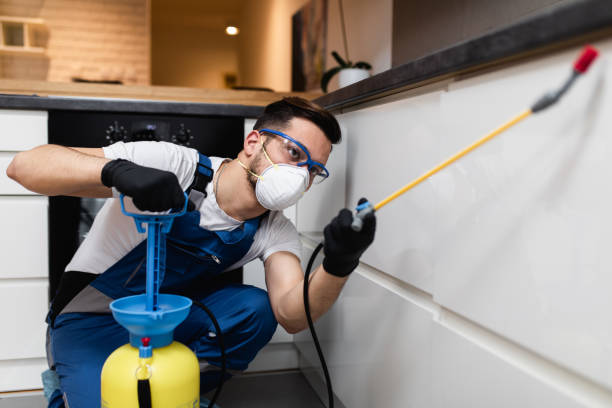 Best Best Pest Control Companies  in Inkerman, PA
