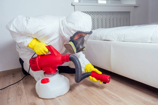 Best Mosquito Control Services  in Inkerman, PA