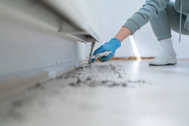 Best Cockroach Control Services  in Inkerman, PA